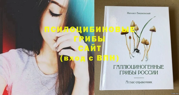 сатива Балахна