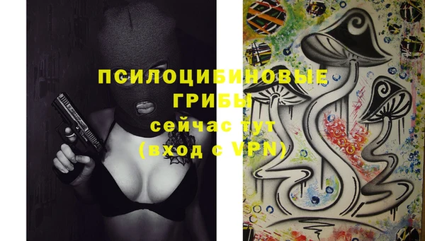 сатива Балахна