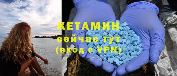сатива Балахна