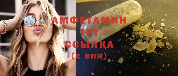сатива Балахна