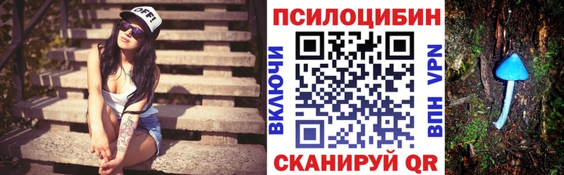 Псилоцибиновые грибы Psilocybe  Кондрово 